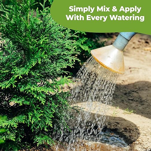 Liquid Arborvitae Fertilizer by Perfect Plants (8oz)