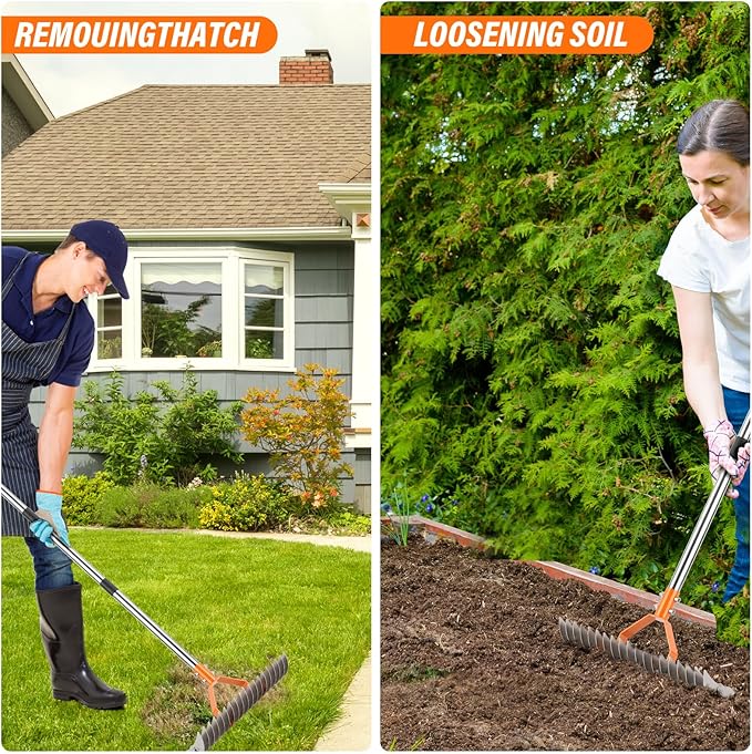 62" Adjustable Thatch Rake - 19-Tine Lawn Dethatcher with Nickel Steel Tines, Heavy Duty Ergonomic Handle for Spring Lawn Care, Soil Aeration & Yard Cleanup&Turf Renovation (Silver)