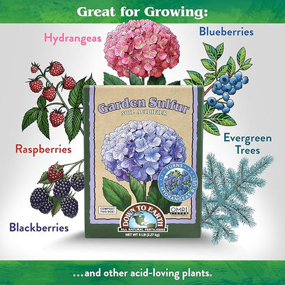 Down To Earth All Natural Fertilizers Organic Garden Sulfur Acidifier - Soil Amendment Lowers Soil pH for Hydrangeas, Berries, Evergreens, 5 lb