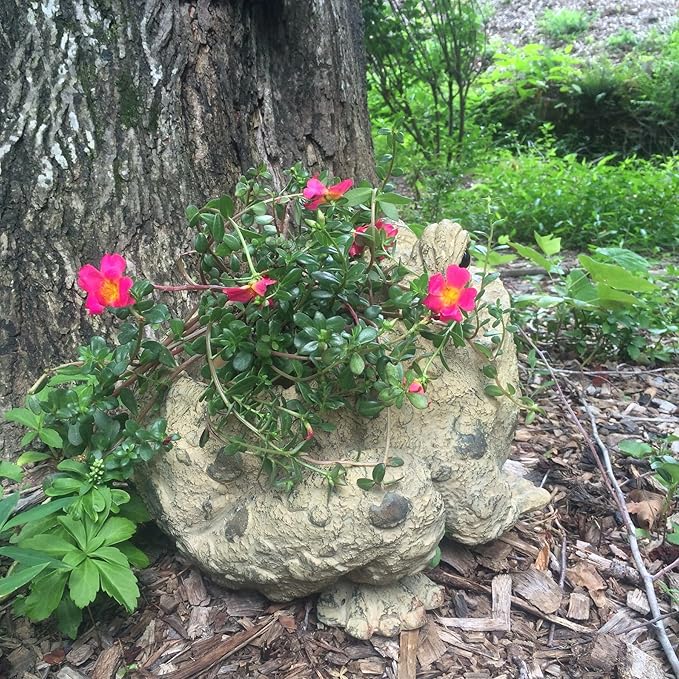 Toad Hollow HomeStyles Extra Large Toad Planter 10.5" H Holds 6" W Pot, Natural Brown
