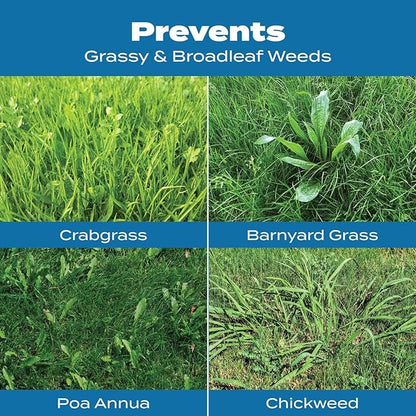 Scotts Turf Builder Halts Crabgrass Preventer with Lawn Food - Pre-Emergent Weed Killer, Lawn Fertilizer, 5,000 sq. ft., 13.35 lb