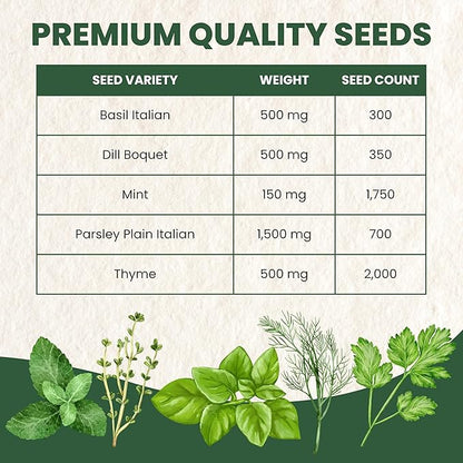Herb Seeds | 5 Invidiual Packs | 2026 Season | Non-GMO | Basil, Dill, Spearmint, Parsley & Thyme! | for Planting Indoor & Outdoor | by Family Sown