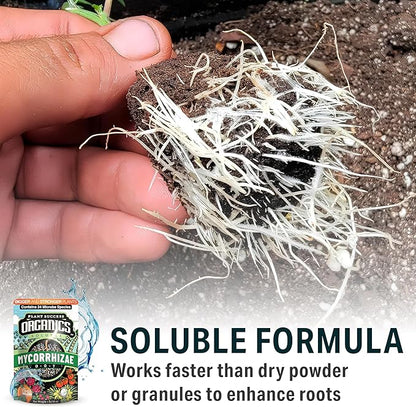 Mycorrhizal Fungi OMRI Organic Root Enhancer for Plant Success, Super Potent 20 Strain ECTO and ENDO Blend for Trees, Vegetables and Houseplants, Beneficial Bacteria Included Treats 700 Plants