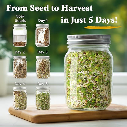 Seedboy Organic Non-GMO Sprouting Seeds, Fresh Salad Blend – USA Grown Microgreens Mix with Alfalfa, Broccoli, Radish, Mung Bean & Lentil – 8 oz Bag Makes 8 Quarts / 24 Servings (Salad Blend)