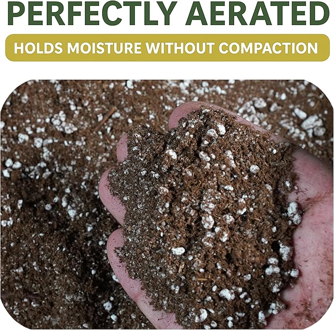 BOG BOSS - Premium Carnivorous Plant Soil Blend | Ideal for Venus Flytraps, Sundews, Nepenthes Pitcher Plants & Butterworts (2 QT's)