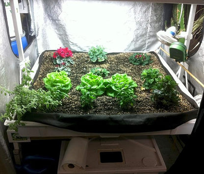 Smart Pot Tray Liner, Raised Bed Flood, 3 ft x 3 ft x 1 ft (36" x 36" x 12")