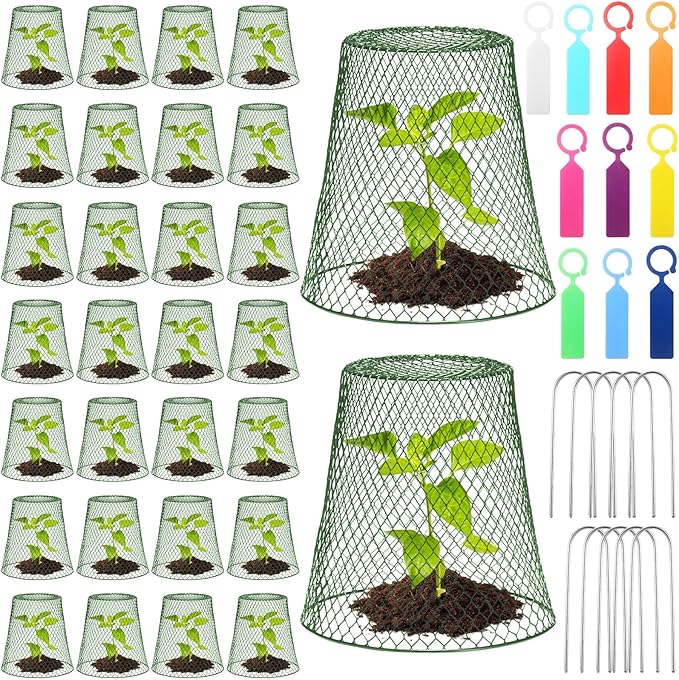 Geosar 30 Pcs 9 inch Chicken Wire Cloche Plant Protector Cover Metal Garden Cloche Dome for Plants Chicken Wire Protection Basket with Garden Stakes for Avoiding Rabbit Bird Small Animals Eat (Green)