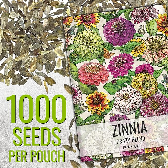 Seed Needs Zinnia Seeds 15+ Varieties Specialty Crazy Blend | 1,000+ Seeds Zinnia Elegans Open Pollinated | Includes California Giants, Candystripe & State Fair Species | Bulk