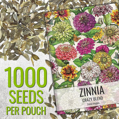 Seed Needs Zinnia Seeds 15+ Varieties Specialty Crazy Blend | 1,000+ Seeds Zinnia Elegans Open Pollinated | Includes California Giants, Candystripe & State Fair Species | Bulk