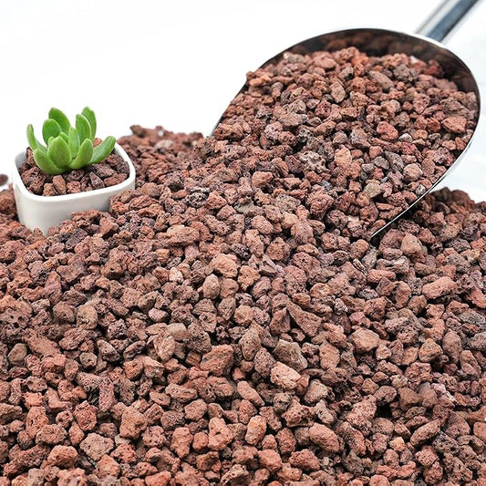 NUPICK 6lb Red Lava Rocks for Plants, 3/8" Succulent Potting Soil Amendments, Decorative Lava Rocks for Fire Pit, Volcanic Gravel for Aquarium, Natural Pebbles Pumice for Cactus, Vase, Top Dressing