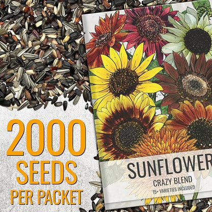 Seed Needs Sunflower Seeds for Planting The Original Crazy Blend | 2 Ounce 15+ Heirloom Varieties Open Pollinated & Untreated | Resealable Bulk Package Multicolored Blooms Flower Seeds