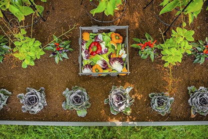 Vita Urbana 3 Foot x 5 Foot Embossed Vinyl Keyhole Garden with Composting Basket, Slate Grey, Gray, PVC, BPA and Pthalate Free, Woodgrain, VT17602