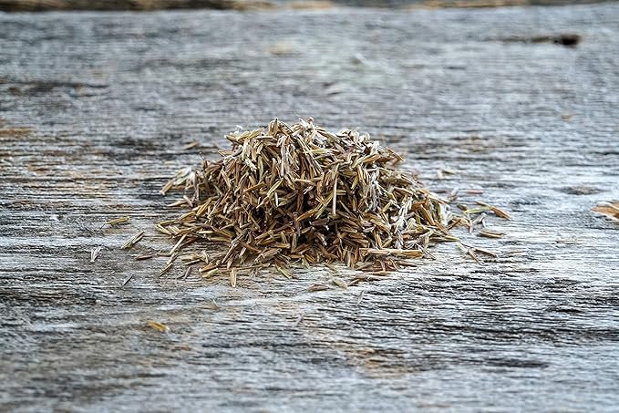 Hale Habitat & Seed Big Bluestem Native Grass Seed, Deer& Wildlife Cover, 2 lbs Pure Live Seed