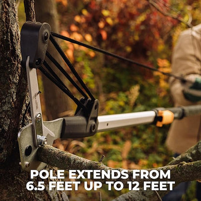 WOODLAND TOOLS 12 Foot Tree Pruner – Extendable Pole Pruner with Bypass Cutting Head, Saw Blade, Double Lock System, Fiberglass and Aluminum Poles, Cord Management, Compound Pulley System