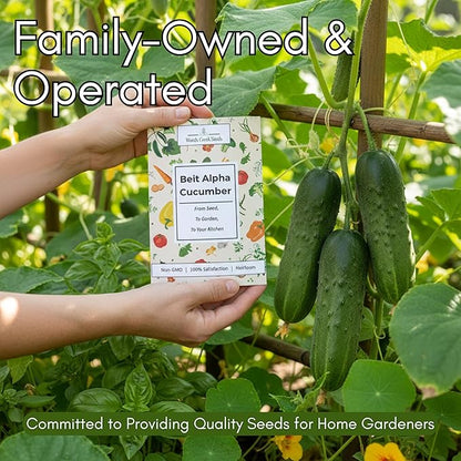 Beit Alpha Persian Cucumber Seeds for Planting - Heirloom, Non-GMO Cucumbers with Mild Flavor & Thin Skin – Fresh Eating Garden Seeds | Woods Creek Seeds