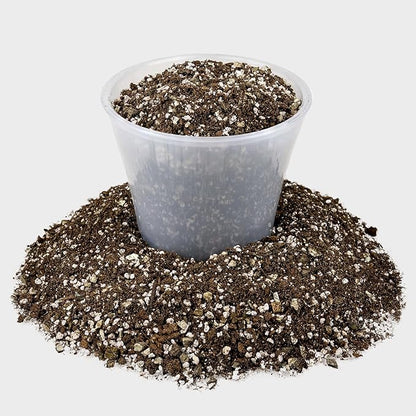 Premium African Violets and Gesneriad Premium Soil Mix by Gardenera - Horticultural Perlite (25%) + Vermiculite (25%) + Sphagnum Peat Moss (50%) - Made in USA - (5 Quart Bag)