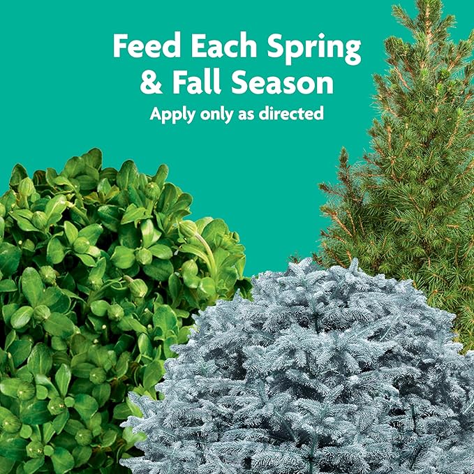 Miracle-Gro Tree and Shrub Plant Food Spikes - Deciduous, Flowering & Evergreen Tree Fertilizer Spikes, Hydrangeas, and Acid-Loving Plants, 12 Count, 3 lb.
