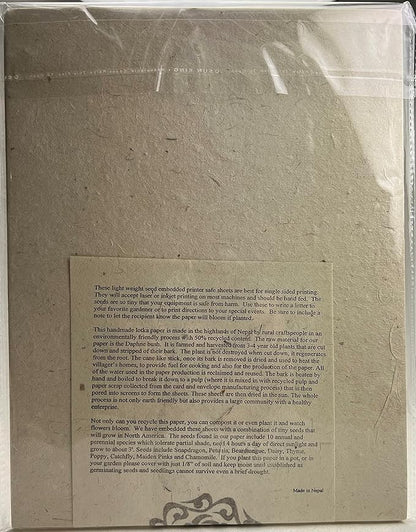 25 Seed Embedded Recycled Lotka Printer Paper
