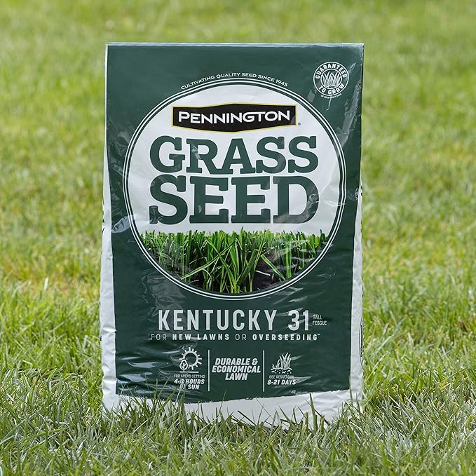 Pennington 100% Kentucky 31 Tall Fescue Penkoted Grass Seed 3 lb