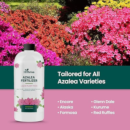 16oz Azalea Fertilizer Outdoor - Makes 16 Gallons of Azalea Plant Food, Liquid Fertilizer for Acid Loving Plants - Flower Food for Vibrant Blooms, Greener Leaves, Healthy Growth & Resilient Roots