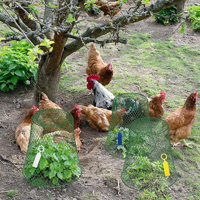Geosar 10 Pcs 9 inch Chicken Wire Cloche Plant Protector Cover Metal Garden Cloche Dome for Plants Chicken Wire Protection Basket with Garden Stakes for Avoiding Rabbit Bird Small Animals Eat (Green)