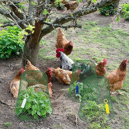Geosar 10 Pcs 9 inch Chicken Wire Cloche Plant Protector Cover Metal Garden Cloche Dome for Plants Chicken Wire Protection Basket with Garden Stakes for Avoiding Rabbit Bird Small Animals Eat (Green)