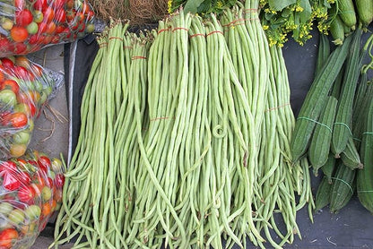 Yard Long Bean Seeds 85+ Seeds, Asian Heirloom Yard Long Beans Seeds, Asparagus Beans Seeds, Phaseolus Vulgaris, Non GMO