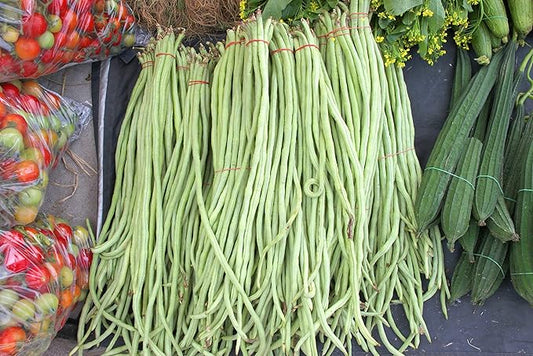 Yard Long Bean Seeds 85+ Seeds, Asian Heirloom Yard Long Beans Seeds, Asparagus Beans Seeds, Phaseolus Vulgaris, Non GMO