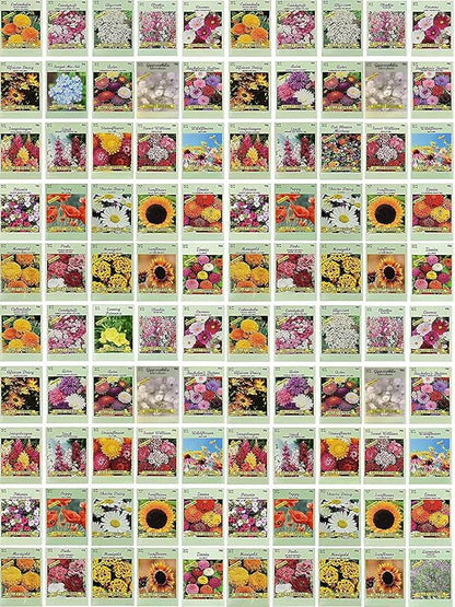 Black Duck Brand Set of 100 Flower Seed Packets! Flower Seeds in Bulk - Best Value Seeds - Great for Classrooms, Beginner Gardeners and Kids! - Deluxe Varieties! (100)