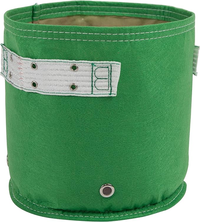 BloemBagz Classic Line Planter, 2 Gallon, Gre-Fresh