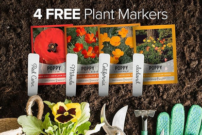 Gardeners Basics Poppy Seeds for Planting Outdoors Flower Seeds (Variety Pack of 4) Poppies Iceland, California, California Mikado and Red Corn Varieties for Bees, Pollinators Wildflower Seed