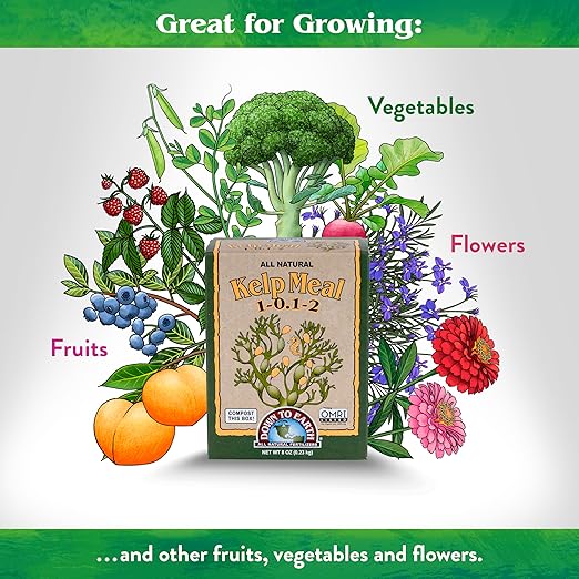 Down To Earth All Natural Fertilizers Organic Kelp Meal - Plant Food with Seaweed (Ascophyllum nodosum), Potassium and Trace Minerals 1-0.1-2, 0.5 lb