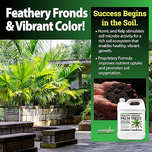 Best Liquid Palm Tree Fertilizer – Indoor Outdoor Plant Food for All Types – Slow Release Fertilizer – Liquid Plant Food – Rich Soil Food with Kelp - Made in USA-Gallon
