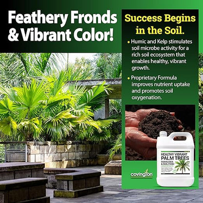 Best Liquid Palm Tree Fertilizer – Indoor Outdoor Plant Food for All Types – Slow Release Fertilizer – Liquid Plant Food – Rich Soil Food with Kelp - Made in USA