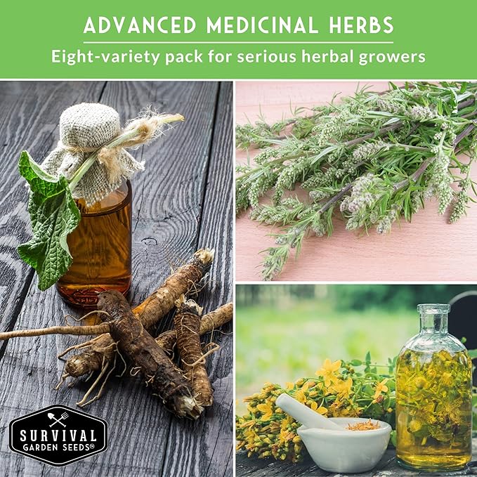 Advanced Medicinal Herb Seeds Collection – Variety Pack for Planting with Mullein, St John’s Wort, Valerian, Mugwort – Heirloom Apothecary Herbalist Seed Bundle - Survival Garden Seeds