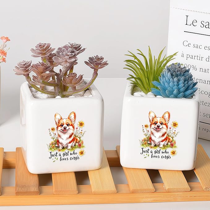 Corgi Succulent Planter Flower Plant Pot Small, Gifts for Women Teens Girls Kids, Corgi Lovers Themed Stuff Accessories Things Decor Merch, Home Office Table Desk Decoration!