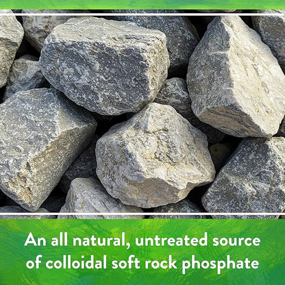 Down To Earth All Natural Fertilizers Organic Rock Phosphate - Calcium Phosphate Plant Food for Flower Beds and Vegetable Gardens 0-3-0, 5 lb