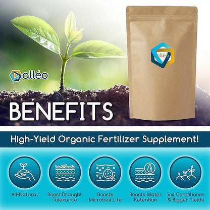 Superchar - Premium Biochar Charcoal Soil Amendment - 24oz High-Yield Organic Fertilizer Supplement- All Natural Enhancer for Garden and Potting Soil - Stimulates Plants Growth - 24 oz