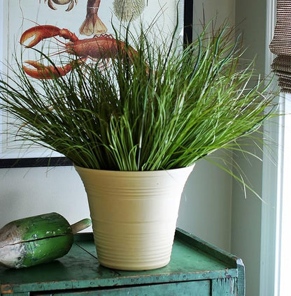 The HC Companies 7 Inch Sedona Round Self Watering Planter - Small Decorative Lightweight Plastic Plant Pot for Indoor Outdoor Plants Flowers Herbs, Cottage Stone (Pack of 2)