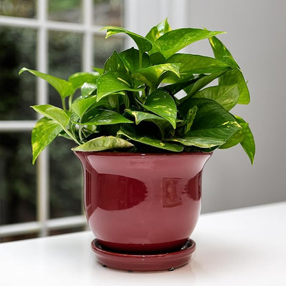 Garden & Home Red 6 Inch Indoor Ceramic Plant Pot with an Attached Saucer and Drainage Hole for House Plants, Herbs, Flowers, Succulent Plants, Snake Plants, Gifts for Mom