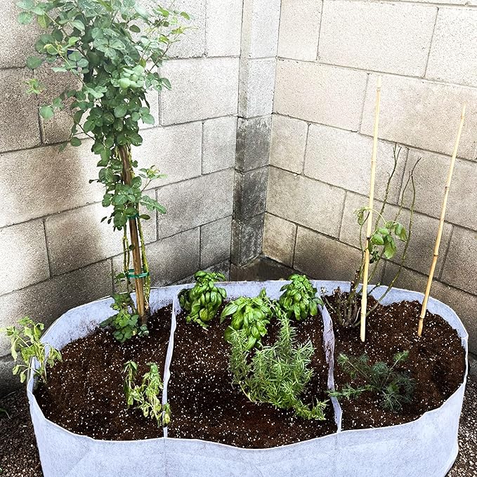 CJGQ 5x2.5x1ft Fabric Raised Garden Bed 65 Gallon Planter Large Oval Garden Boxes Outdoor for Vegetables,Flowers and Potato