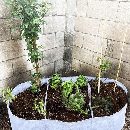 CJGQ 5x2.5x1ft Fabric Raised Garden Bed 65 Gallon Planter Large Oval Garden Boxes Outdoor for Vegetables,Flowers and Potato