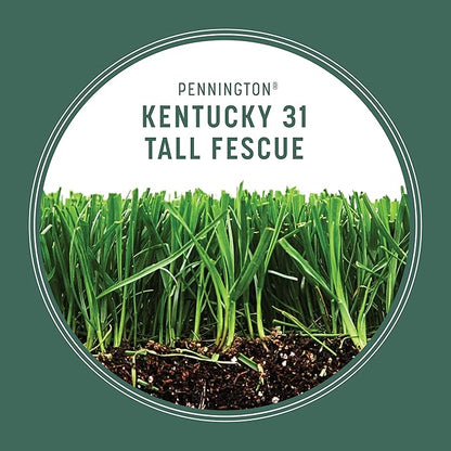 Pennington Kentucky 31 Tall Fescue Penkoted Grass Seed 3 lb,(Pack of 8)