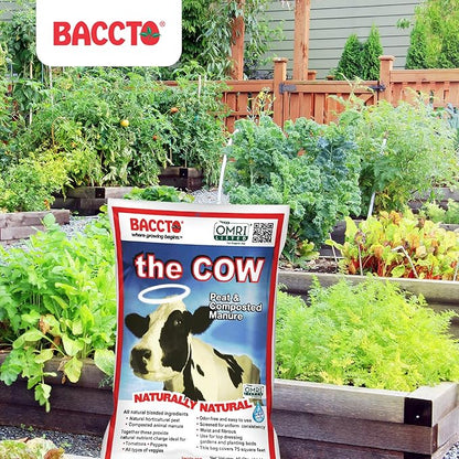 Michigan Peat Baccto 1640 Wholly Cow Horticultural Compost and Manure for Soil Amendment, Lawn Care, & Garden Beds, 40 Quart Bag (3 Pack)