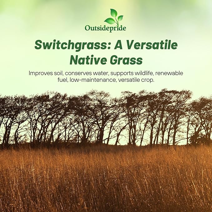 Outsidepride Switchgrass Seed - 25 lbs. Perennial Hardy, Drought & Flood Tolerant Native Grass Seed Ideal Fast-Growing Grasses for Erosion Control, Wildlife Forage & Food Plots, Thrives in Poor Soil