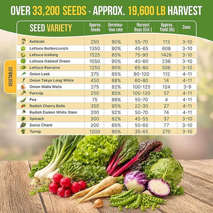 Organo Republic 30 Most Popular Winter Vegetable Garden Seeds Variety Pack- Outdoors/Indoor 33,200+ Non-GMO Heirloom Veggie Seeds Broccoli Beet Carrot Cabbage Chives Lettuce Radish Pea Spinach & More