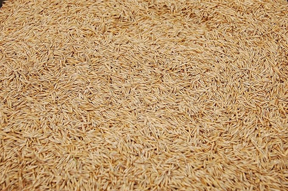 Creeping Red Fine Fescue Seed by Eretz (8oz) - Choose Size! Willamette Valley Oregon Grown, No Fillers, No Weed or Other Crop Seeds, Premium Shade Grass Seed.