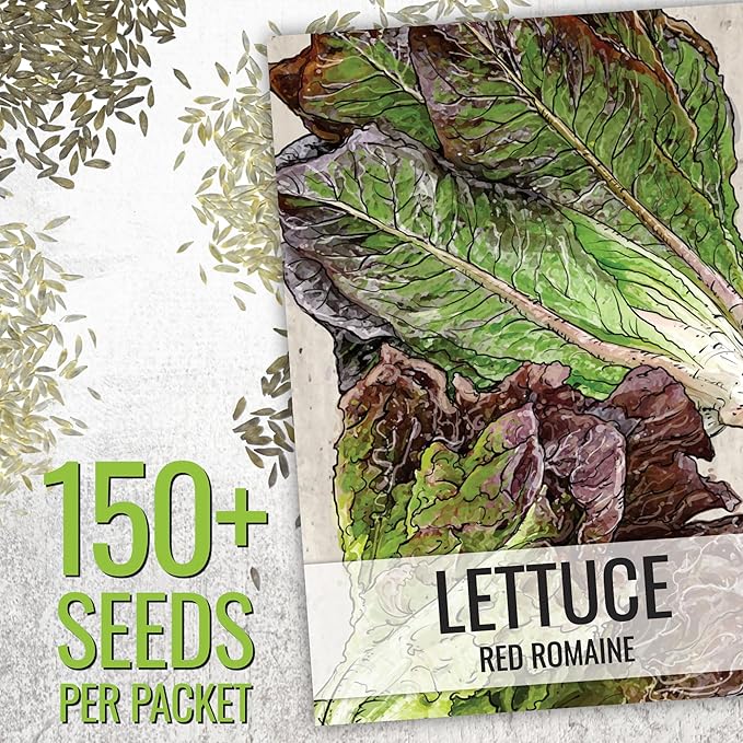 Seed Needs Lettuce Seeds for Planting - Non-GMO Heirloom & Untreated - Grow a Home Grown Outdoor Garden or an Indoor Hydroponics Garden - Homestead Sampler Kit (14 Packs)