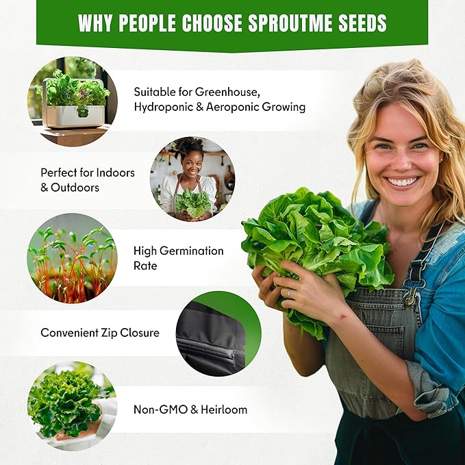 Romaine Lettuce Seeds Parris Island Cos – 500+ Non-GMO Heirloom Cos Lettuce, Crisp Sweet Heads, Cool Season Leafy Greens, High Germination (Lactuca Sativa)