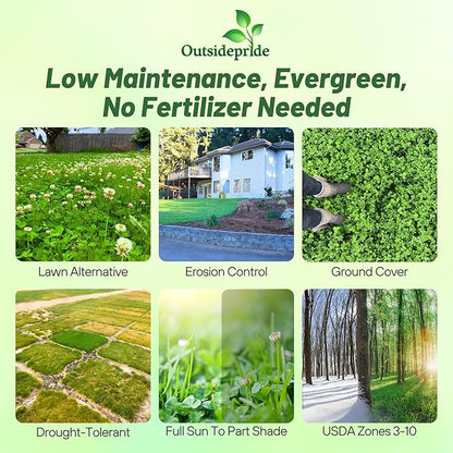 Outsidepride Perennial White Dutch Clover Seed - 40 lbs. Nitrocoated, Inoculated Clover Seeds for Lawn Alternative, Erosion Control, Food Plots, Ground Cover, & Pasture Mixtures in USDA Zones 3-10